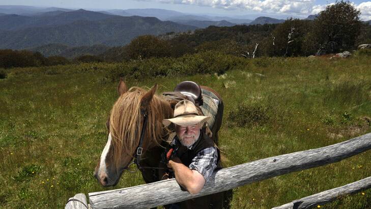 On a high: Mountain Cattlemen's Association of Victoria president Charlie Lovick is thrilled cattle grazing is going ahead. Photo: Pat Scala