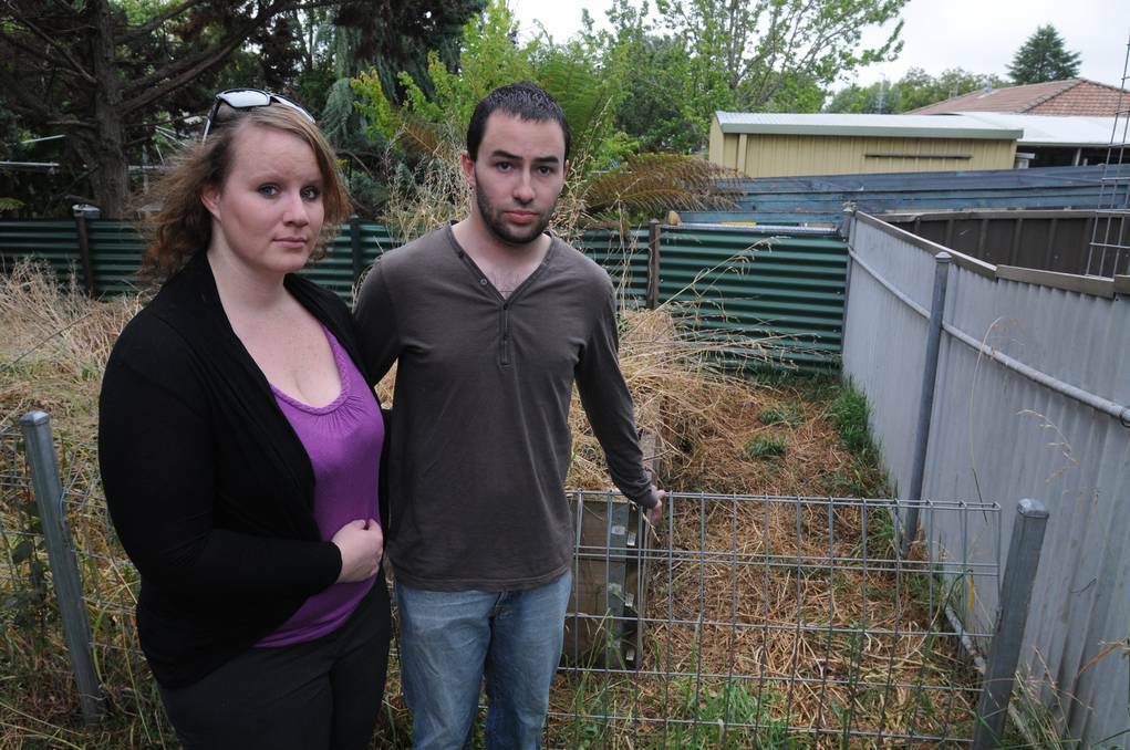 ORANGE: Jessica Scoins and Zac French's Staffordshire bull terrier Indi was stolen and tortured before its remains were returned to their Orange backyard three weeks later. Photo: STEVE GOSCH