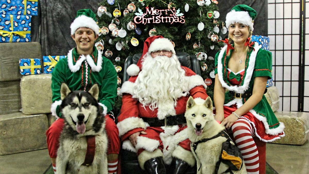 DUBBO: Jeremy Wiatkowski and Sheridan Davis with their Siberian Huskies Archie (left) and Mishka and Santa Claus during the Santa Paws promotion at Petbarn Dubbo. Photo: HELEN AKERSTROM