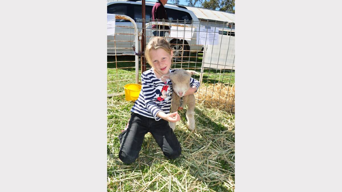 Six year old Alecia Zerafa loved giving baby lamb Choppy a cuddle in the Animal Nursery at the Trundle Show.