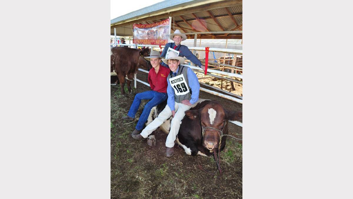 Resting on their laurels after ‘Kaloola Andred’ took out second place in the Shorthorn Bull under 16-20 months – where (Nathan Leach and Brad Fazzari (standing) of Narromine High School and Ben Zieltjes of Forbes. * Junior Parading Novice winners (left to right) Billy Hamilton (4th), Jordan Bakac (3rd), Stephen Swanston (2nd) all of Narromine and Leisl O’Halloran (1st) of Forbes Red Bend College.