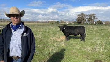 William Day, Milong Angus, Young, with Milong Remote R26 sold for the second-top price of $12,500.