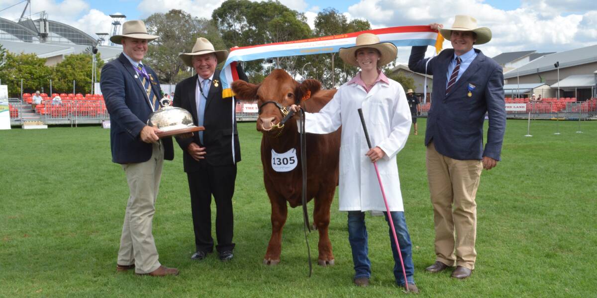 WHAT A CHAMPION: RAS councillor and cattle committee member Alastair Rayner, RAS president Michael Millner, and judge Kieran Te Velde of Bob Jamieson Stock and Station Agents, Inverell sash the overall grand champion steer led by Scots All Saints College student Eva Green, year 10, Bathurst. Photo: Hannah Powe