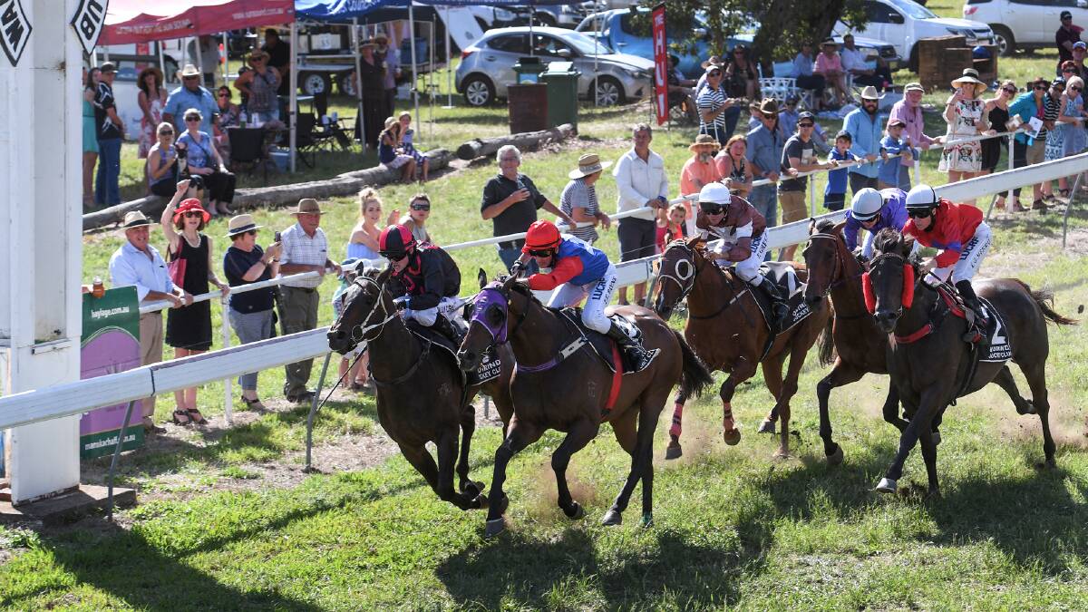 Close finish: Still Undaunted (inside) gets his nose in front during the closing stages of the 166th Wallabadah Cup. Photo: Gareth Gardner