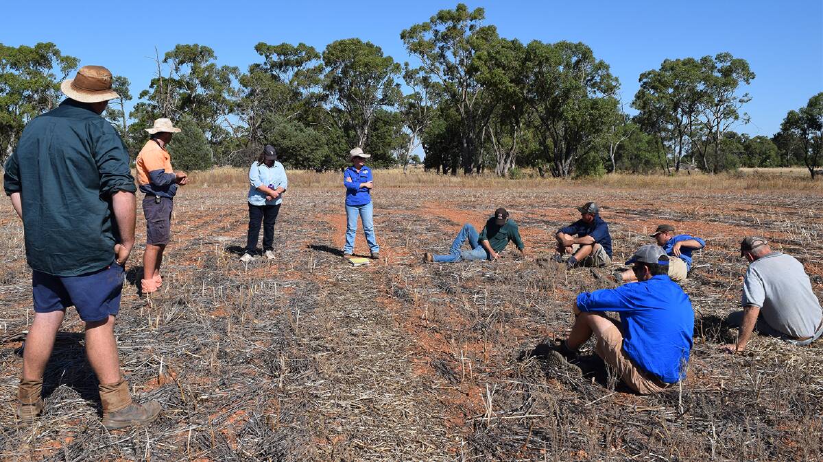 Central West Farming Systems (CWFS), based in Condobolin is one of two local groups to receive an ARTC Drought Assistance Landcare Grant. 