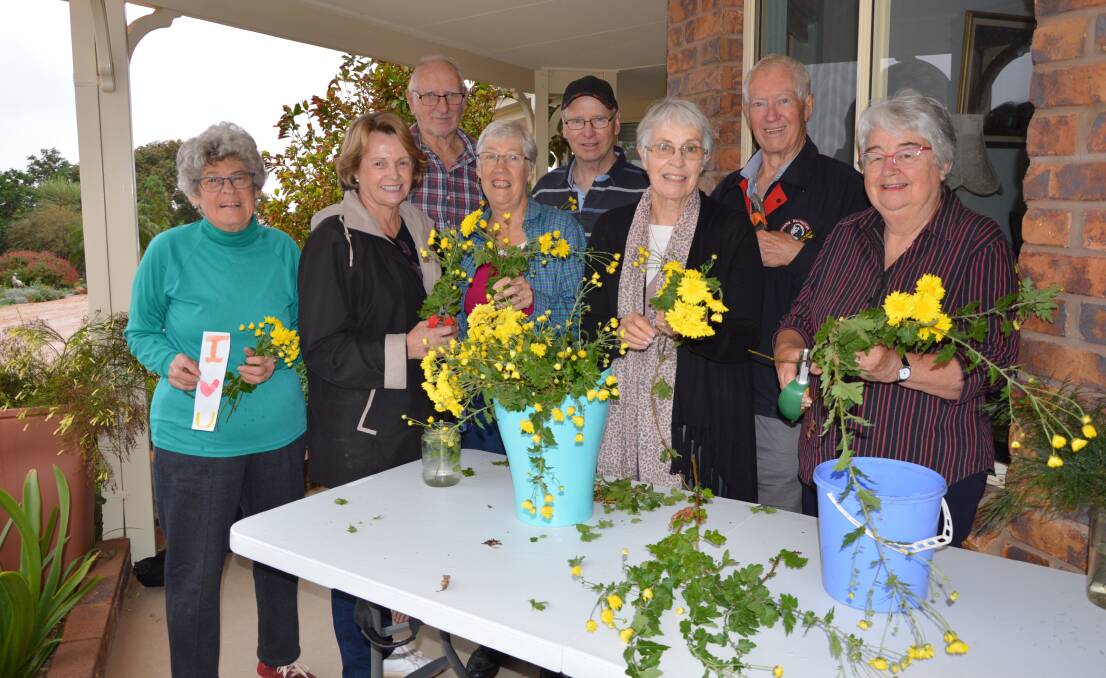 WORKING BEE: Marion Unger, Bev Hawken, Ian Unger, Joan Paul, John Jelbart, Evelyn Shallvey, Bill Paul and Marie Weller busy trimming chrysanthemums for Mother's Day. Photo Barbara Reeves.