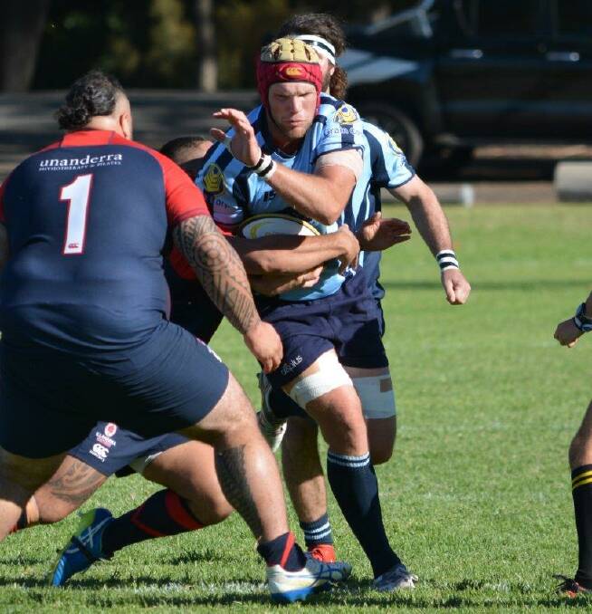 BLUE BULLS BOLTERS: Parkes Boar's Day Ryan is one of eight Central West players in the NSW Country Colts squad, another nine Blue Bulls made the open squad.