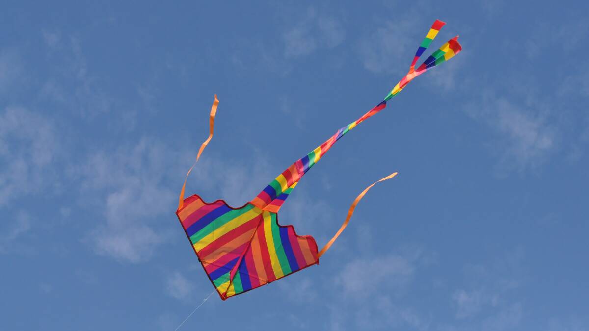 Kite festival to fly again