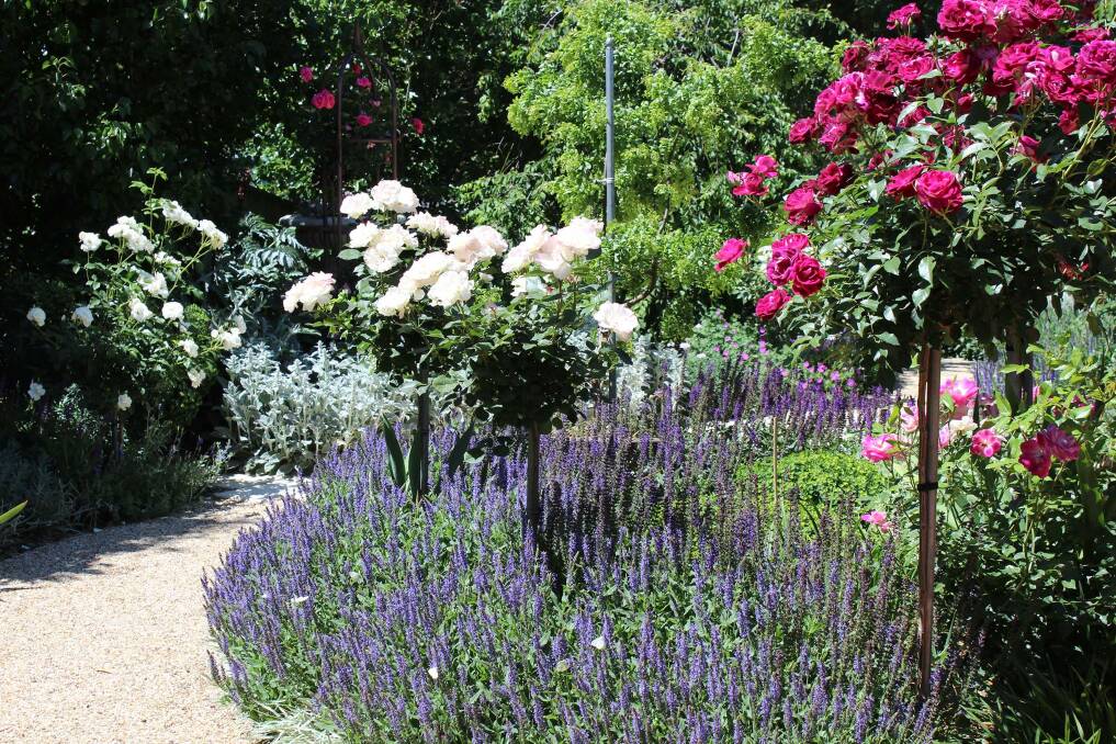 Six beautiful gardens will feature in this year's Parkes Open Gardens event. Five of them haven't been opened before! 