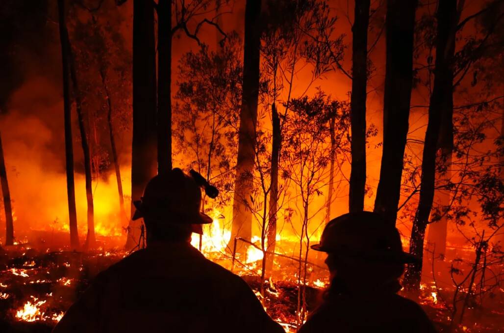 FIRE PRONE: The research shows logged areas are much more prone to large fires. Photo: Iain Gillespie