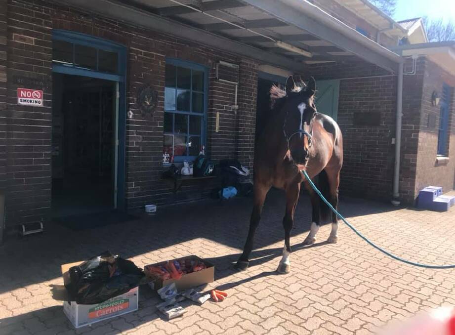 Tobruk with his loot. Photo: NSW Police Force Facebook page