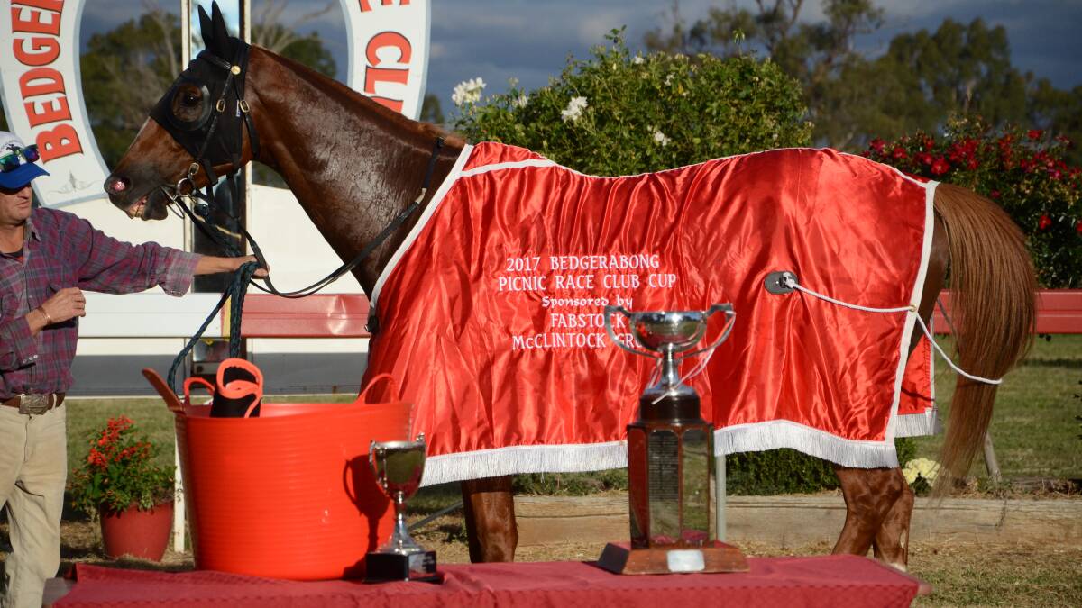 Does Lulu’s Destiny have the Wright stuff to win another Picnic Cup?
