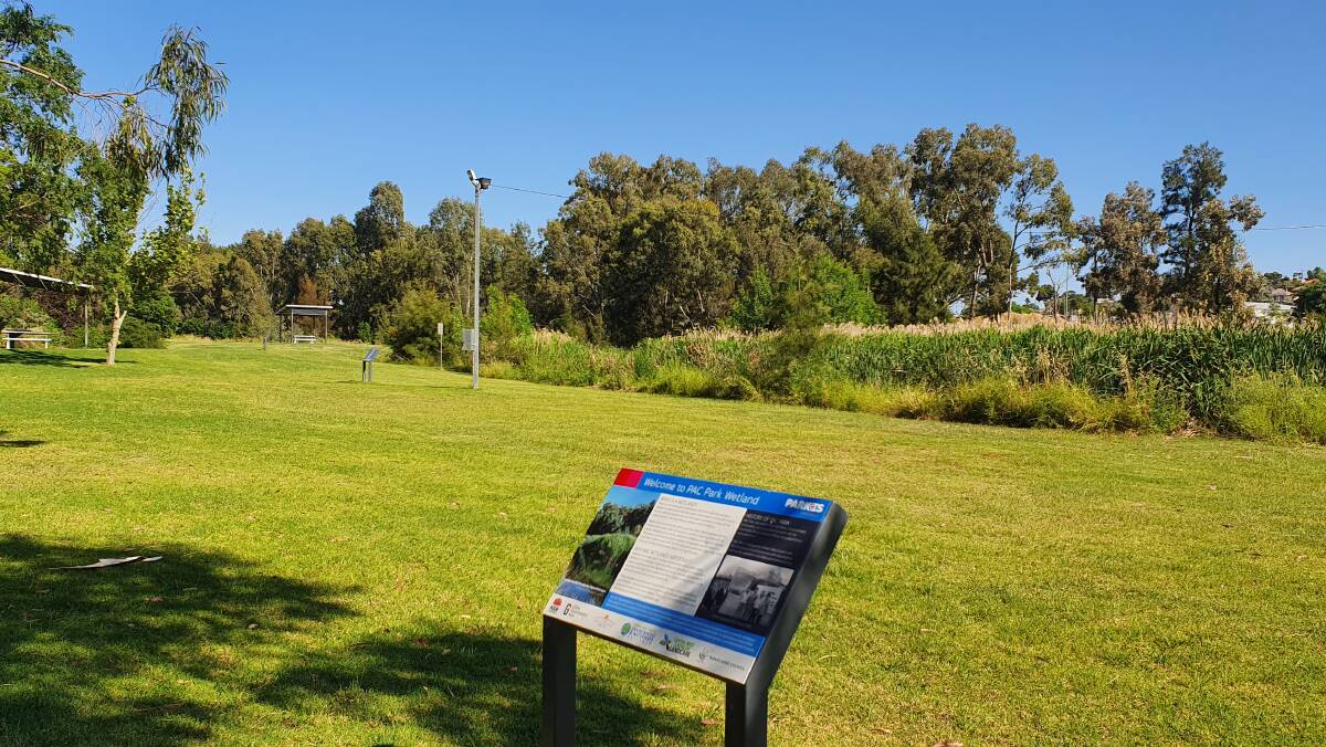 PAC Park Constructed Wetland is a fabulous urban space for woodland and water bird sightings in Parkes.
