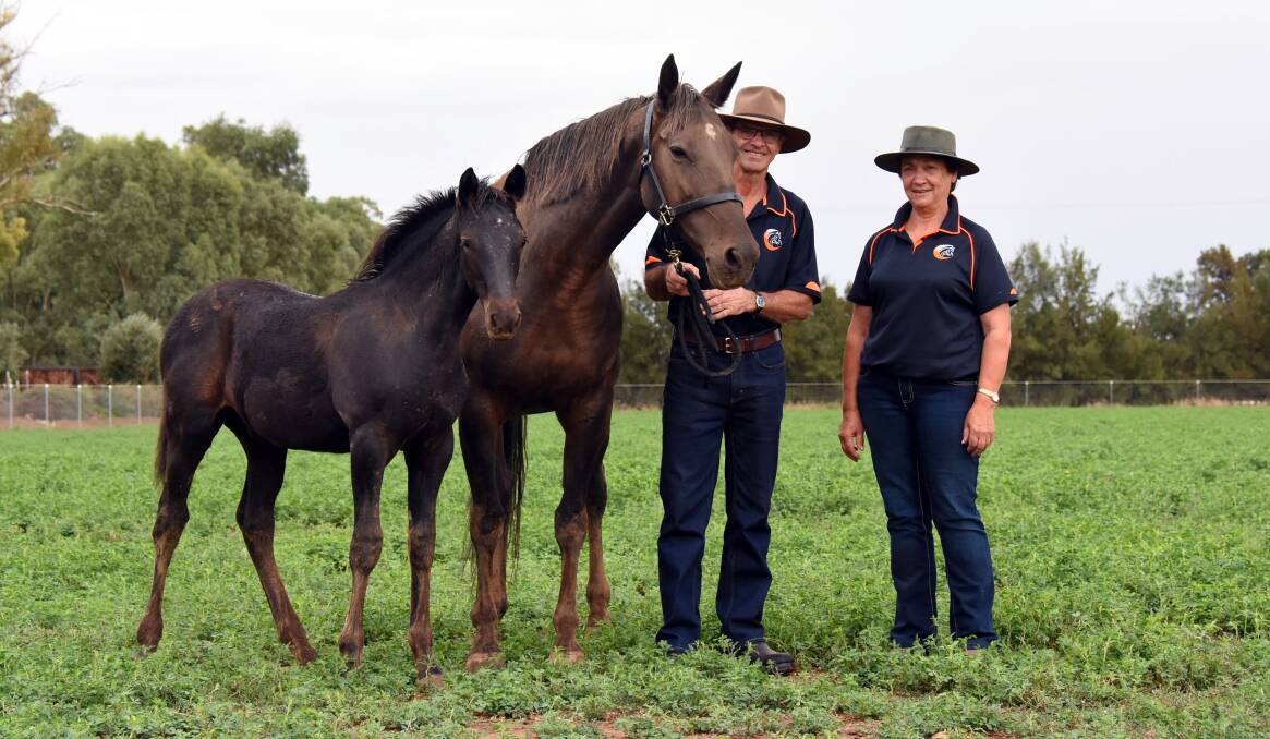 Phil and Denise Thurston with Freedom Is NZ and her new foal also out of Bettor's Delight and a full brother to the colt who topped the March 3 sale. 