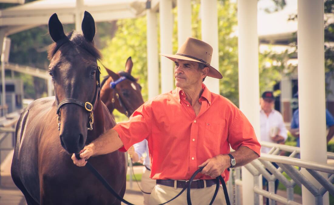 Phil Thurston with the stunning colt heading in to the March 3 sale in Sydney. Photo by Norman Valdez of Clarinda Park Photography.