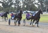 Hurrikane Dude, with Mark Hewitt in the driver's seat, powers down the outside to take the win in the Pud Woods Memorial from Baby Bee Mine for Nathan Turnbull at Forbes in 2022. File picture