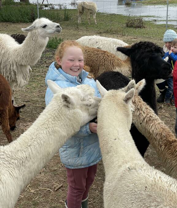 TRY SOMETHING NEW: Breanna Powell's family used a Discover voucher to check out Quentin Park Alpacas at Tomingley. 