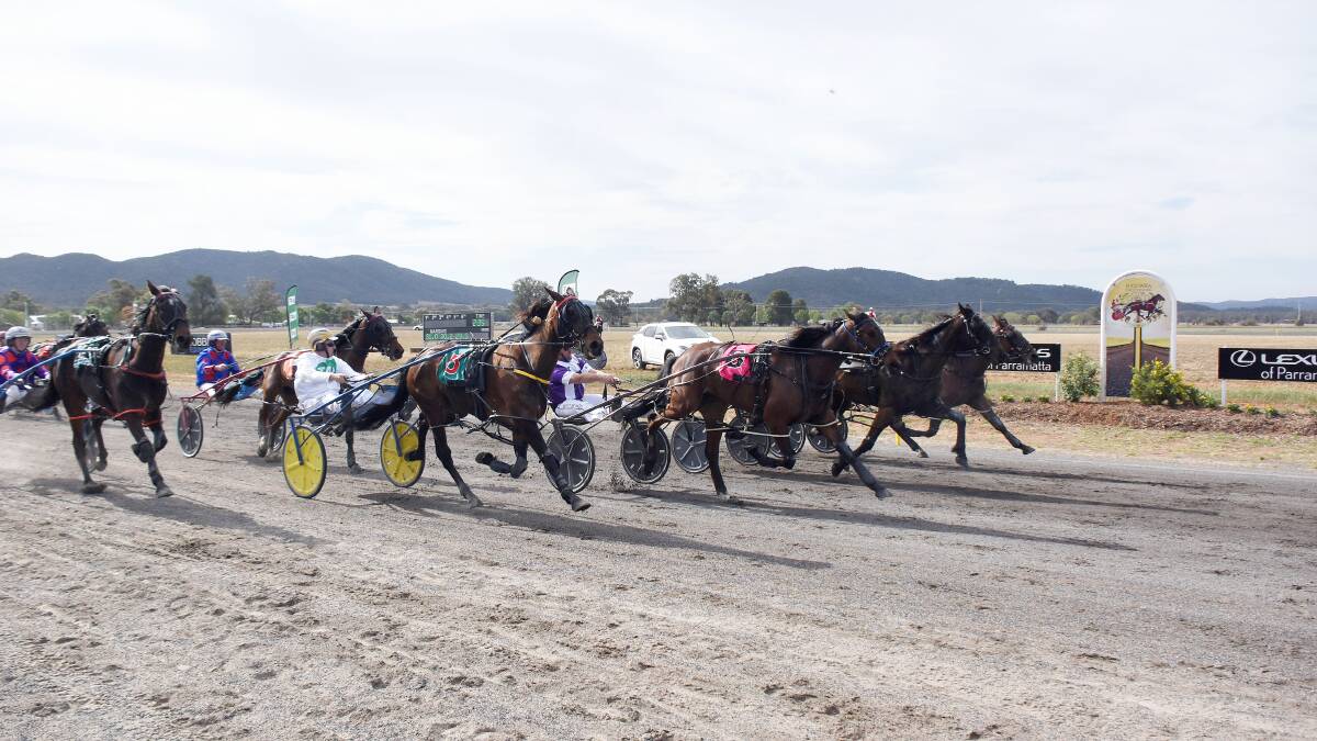 Major Comment, Redbank Cooper, Kanena Provlima and Hurricane Roy four abreast as they cross the finish line in the $30,000 2019 Canola Cup. File picture
