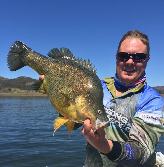 CHASE THE GOLDEN PERCH: The Murray cod season closed on September 1, making for the ideal time to chase Golden Perch. Pictured is Matt Hansen. Photo: CONTRIBUTED