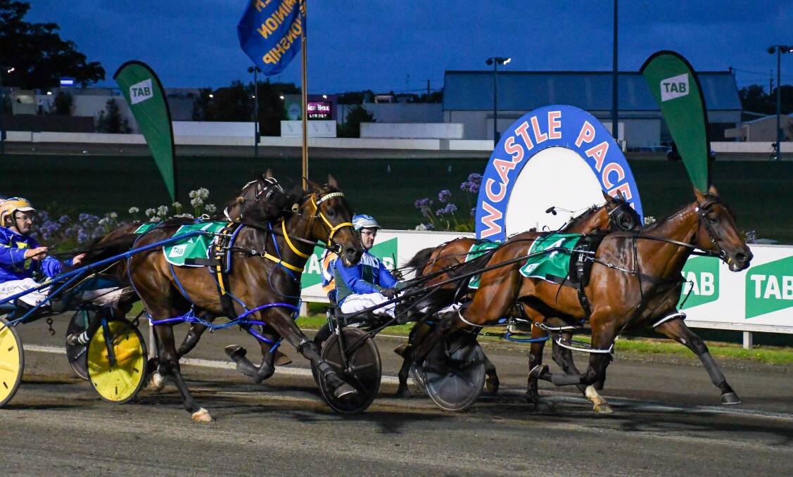 HUGE EFFORT: While Our Uncle Sam was rated a $101 outsider, he placed second to Luke McCarthy's Expensive Ego in his Inter Dominion heat on Sunday night. It earned him a spot in the decider.
