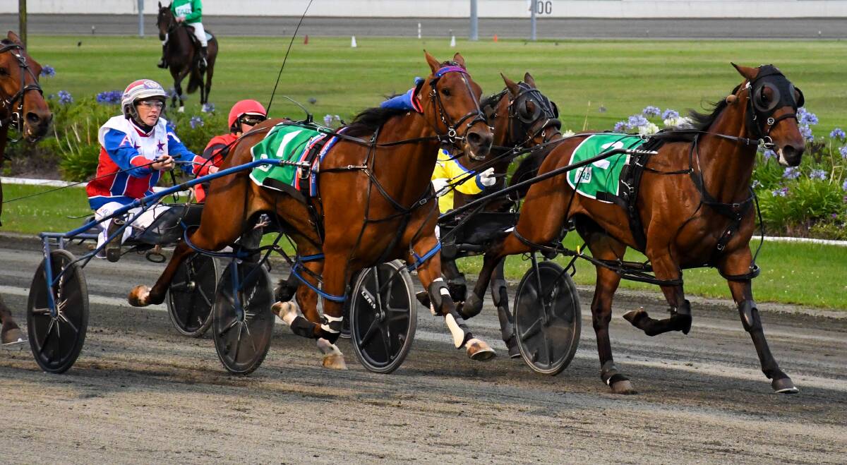 ON THE CHARGE: Amanda Turnbull guides Bundoran down the home straight in his Inter Dominion heat at Newcastle on Sunday.