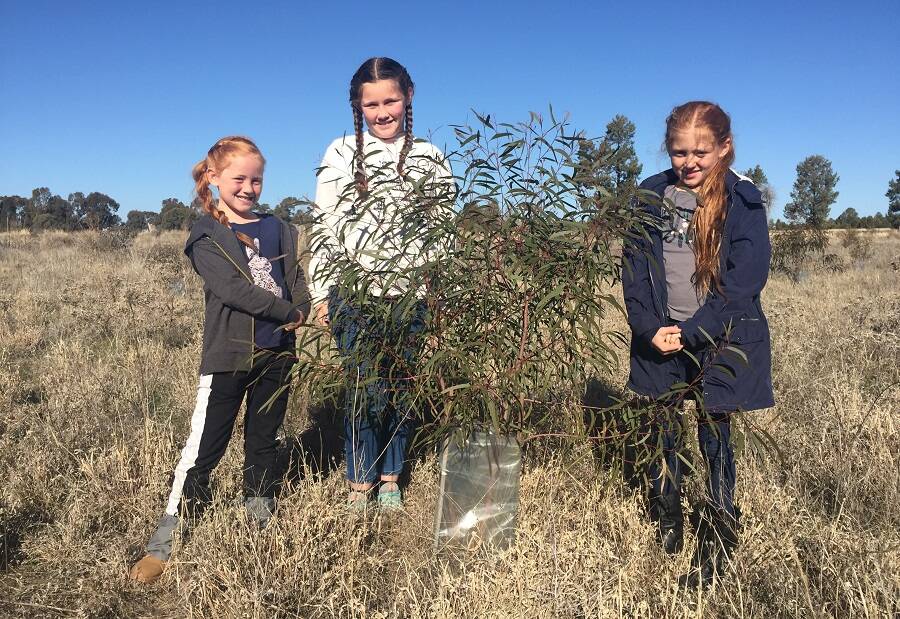 Parkes Shire Council and Central West Lachlan Landcare are partnering to invite Parkes Shire residents to connect in nature.