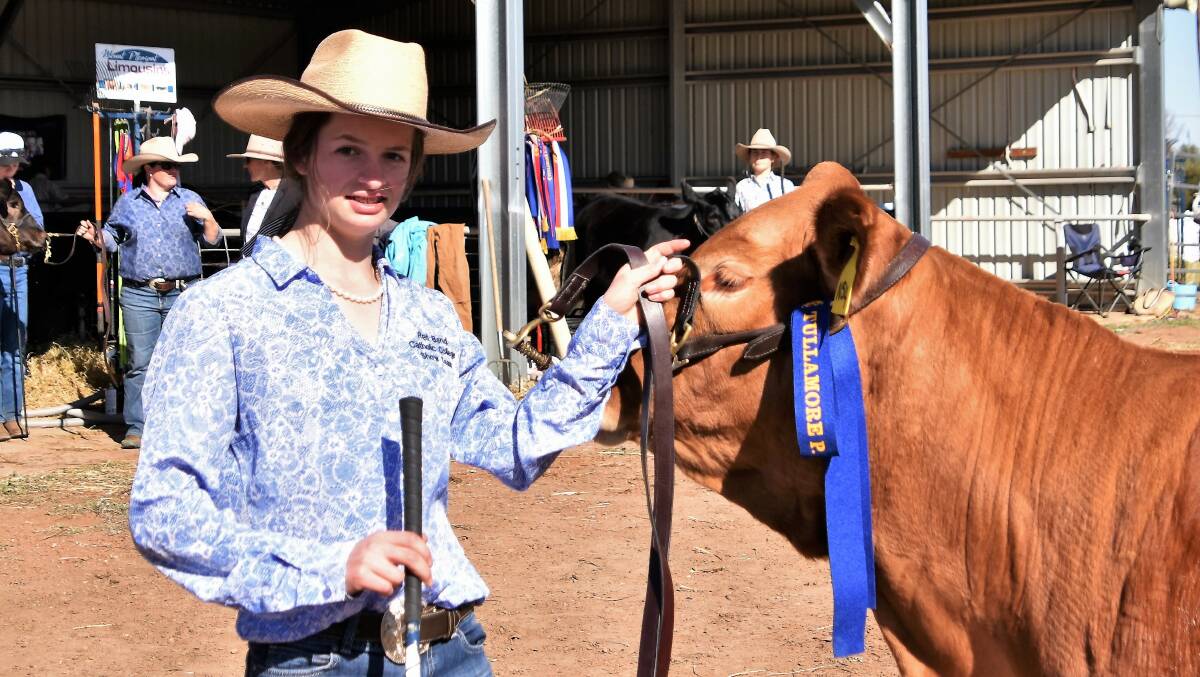 Violet Cavanagh from the Red Bend Catholic College Cattle Team with Mt Pleasant Night Celeste at the 2018 Tullamore Show. Photo: File 