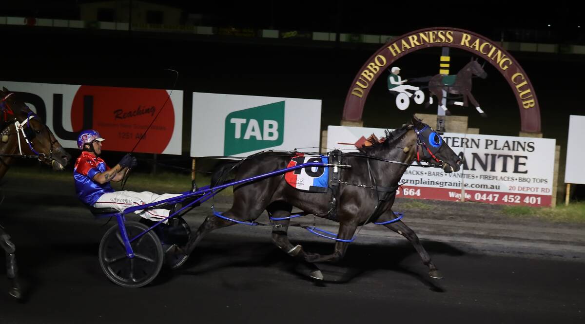 TRIPLE CENTURY: Nathan Turnbull drives Feeling Hall Good to victory to claim his 300th training success. Photo: COFFEE PHOTOGRAPHY