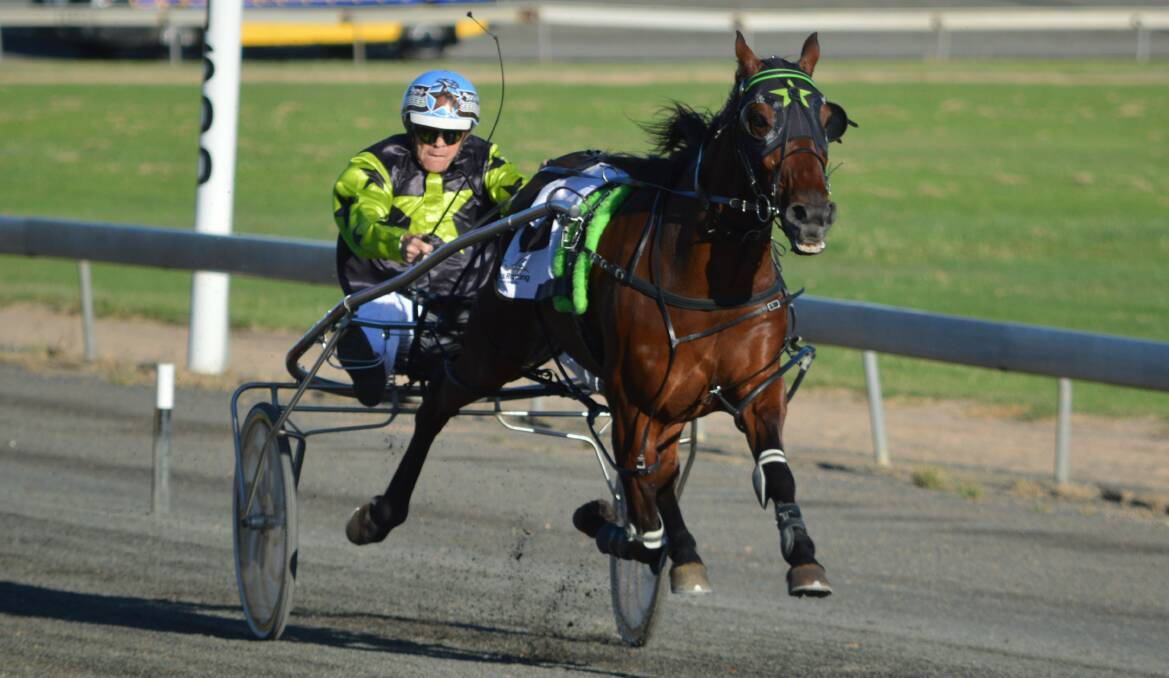 ON THE HUNT: Double Standards is chasing success at Bathurst Paceway this Wednesday night. Photo: KRISTY WILLIAMS