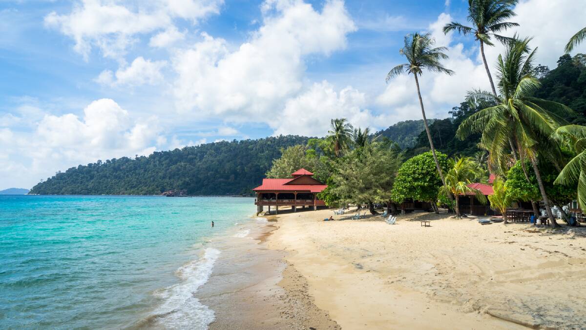 The jungle of Tioman island meets the sand.