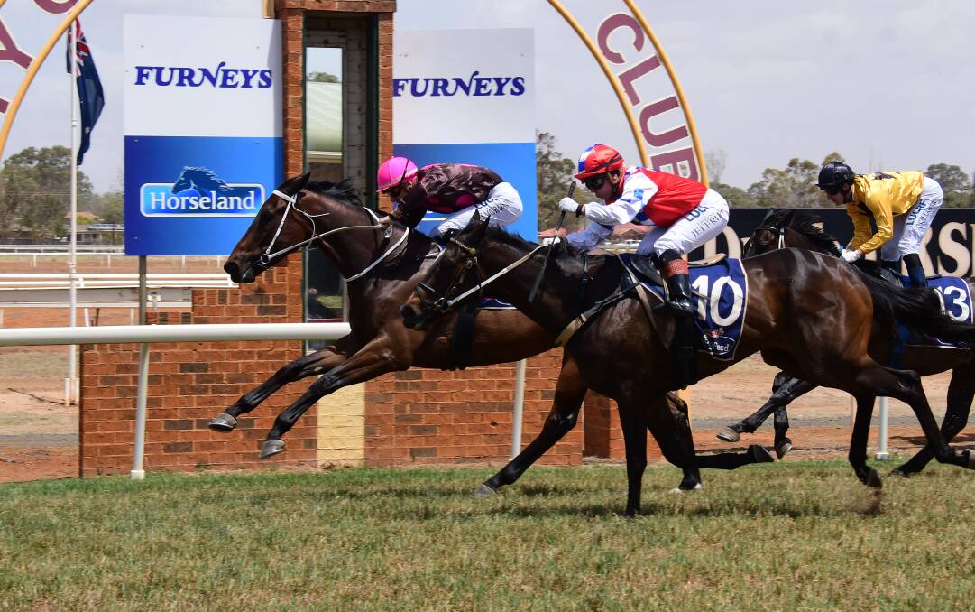 GOING AGAIN: Clever Missile won at last year's Derby Day meeting for in-form trainer Brett Thompson. Photo: AMY McINTYRE