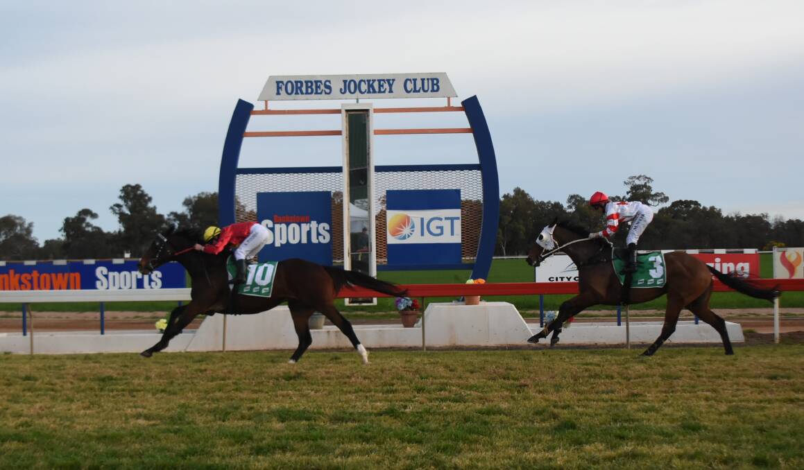 WINNER: The Sledgehammer made it three-from-three when winning at Forbes on Monday. Photo: BRENDAN McCOOL