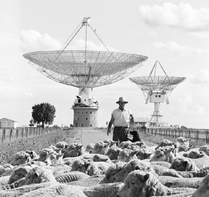 Yep, it really was put in the middle of a sheep paddock. Photo: CSIRO Archives.