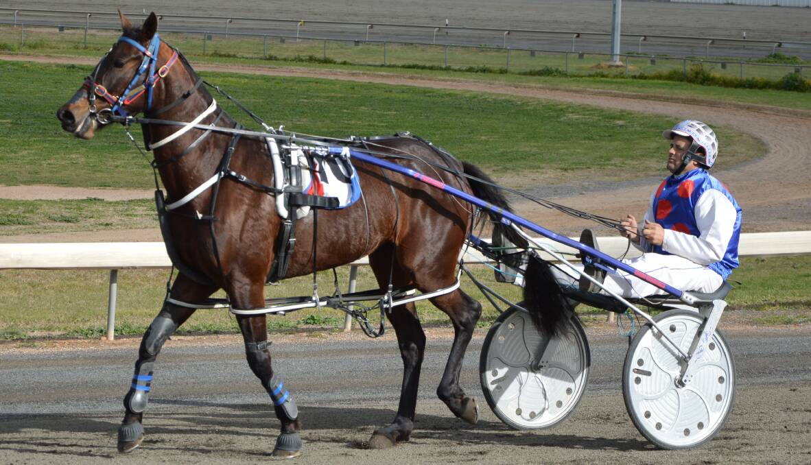 LEADING DRIVER: Brett Hutchings, pictured after a win on SHEZONTARGET, was the top driver in Parkes during the 2019/20 season. Photo: Kristy Williams.