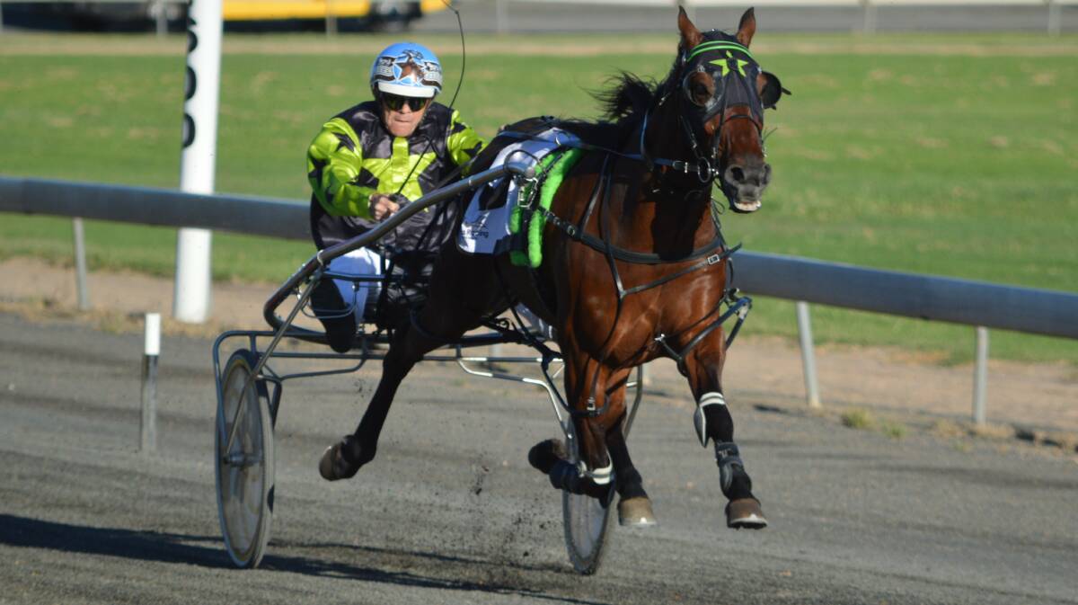 BIG PERFORMER: Parkes driver Stephen Dowton pilots Double Standards to victory on Saturday for trainer Kasey Orr. Photo: KRISTY WILLIAMS.