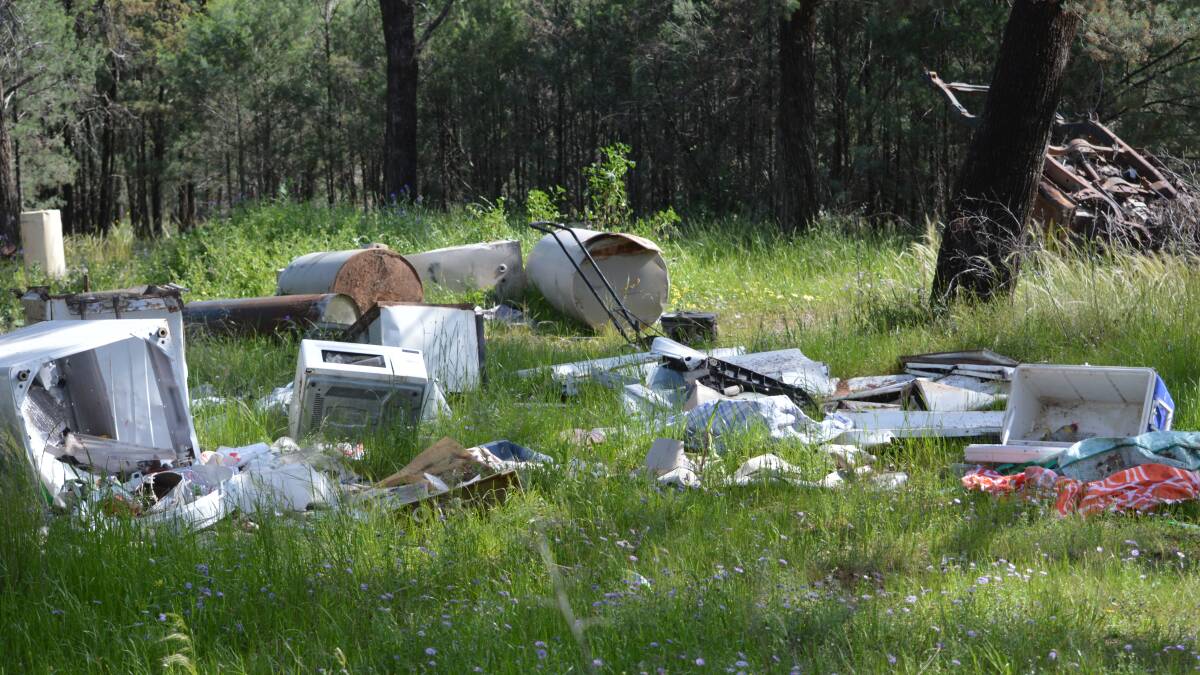The piles of illegal waste in the grounds behind the Parkes Hospital are appalling.