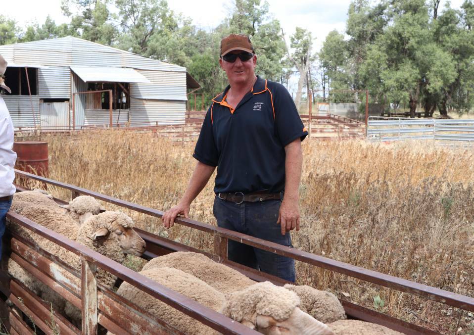 TOP WORK: The Central and Western Ewe Competition winner Peter Stuckey, Murtonga Pastoral, Condobolin. Photo: Kate Loudon.