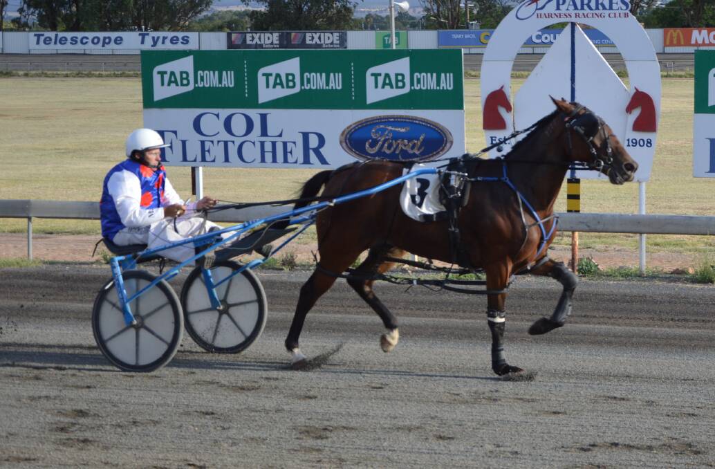 RED HOT FORM: Carribbean Pat will be looking for four wins in a row at the Parkes Harness Racing Club at Sunday night's meeting. Photo: Kristy Williams.