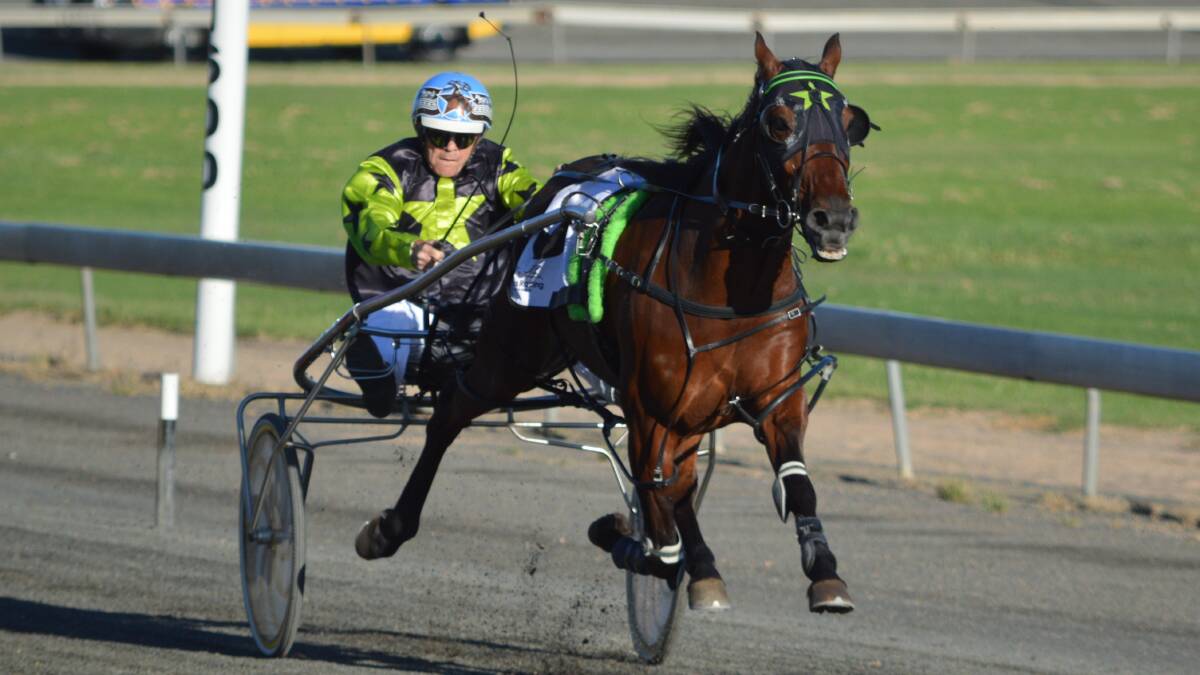BIG PERFORMER: Parkes driver Stephen Dowton pilots Double Standards to victory for local trainer Kasey Orr. Photo: KRISTY WILLIAMS.