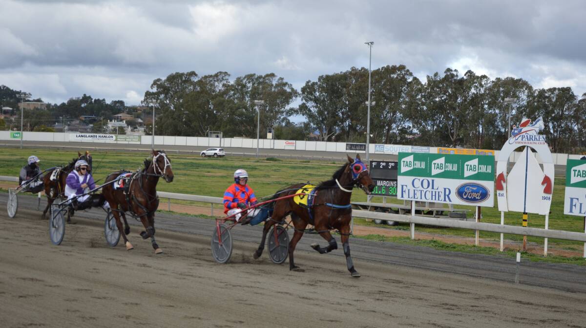 RING A DING DING: Bell River Boy, trained by Josh Turnbull, will be looking for win number two in start 14 in the Parkes Furniture One Pace with Steve Turnbull aboard after breaking his maiden here on July 5. Photo: Kristy Williams