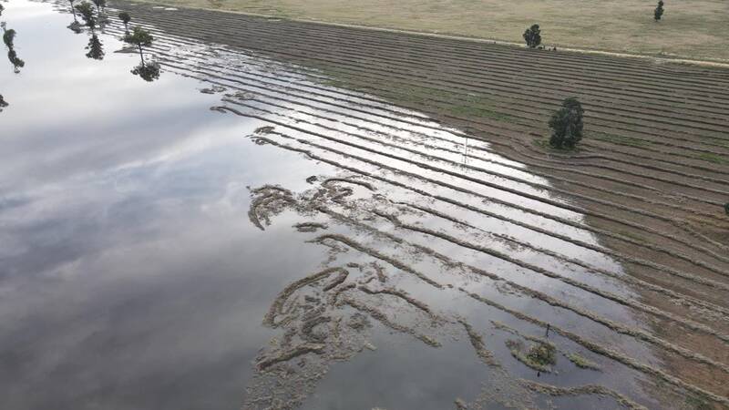 DEVASTATING DAMAGE: An aerial of the flooding that occurred between Cowra and Forbes that damaged crops in November. Photo: NSW DPI.