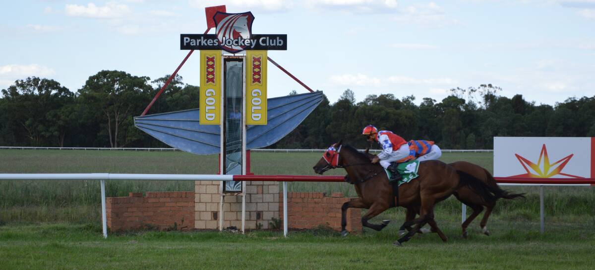 GUTSY WIN: Coulpa, a $600 purchase, got the job done for Parkes trainer Sharon Jeffries in the last on Saturday afternoon, defeating by Griffin's Head by a head over 1600m. Photo: Kristy Williams.