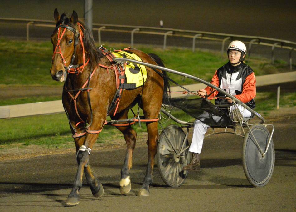 BRILLIANT PERFORMANCE: Harley James, driven by Parkes reinswoman Laura Rusten, won for Forbes trainer Terry Robb at Friday's meeting at the Parkes Harness Racing Club. Photo: KRISTY WILLIAMS.