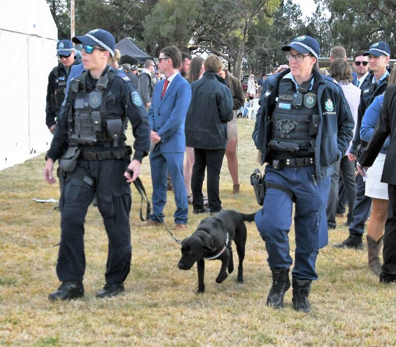 ON THE CASE: Ita the Drug Detection Dog visited the Parkes Picnic Races on June 12 to ensure compliance amongst spectators. Photo: Jenny Kingham.