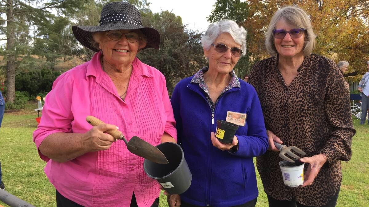 COLOURFUL LADIES: Norma Garment, Betty Guise and Lyn Griffiths get ready to plant. Photo: Supplied.