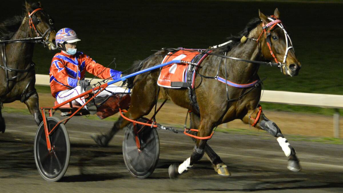 WHAT A RELIEF: Major Bracken won the NSW Breeders Challenge Heat for three-year-old Colts and Geldings on Friday night in Parkes with Mitch Turnbull in the gig. It was the gelding's eighth career win in 17 starts. Photo: KRISTY WILLIAMS.