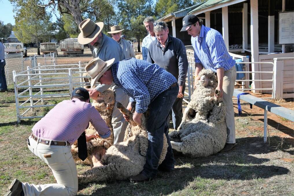 MORE FUNDING: The Trundle Pastoral and Agricultural Society has received some important funding from the Federal Government. Photo: JENNY KINGHAM.
