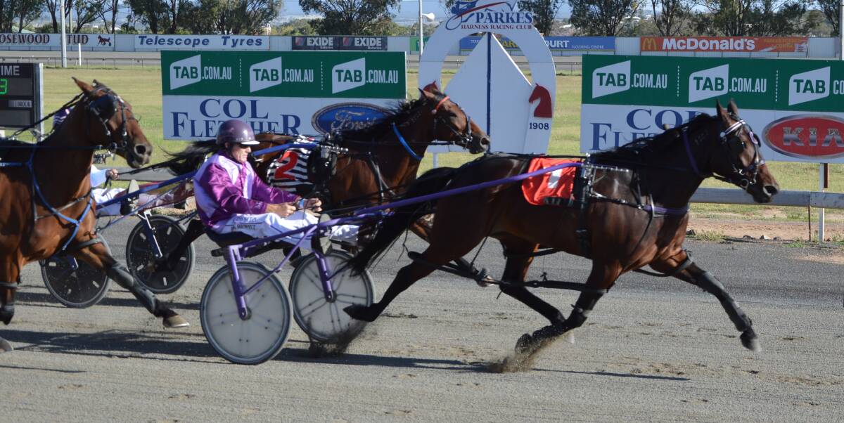 DELIGHTFUL WIN: Maudies Delight took out the first race at the Parkes Harness Racing Club on Sunday evening for Grenfell trainer Mark Hewitt. The mare won with a mile rate of 2:03:6. Photo: Kristy Williams.