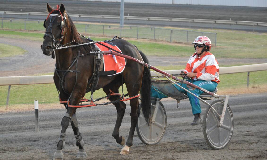 KYLE BARNES MEMORIAL WINNER: Tulhurst Terror, pictured after running in Parkes on February 21, took out the feature race at Dubbo on Sunday evening.