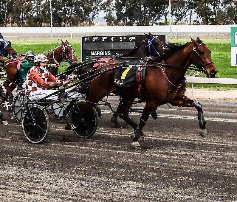 ABSOLUTELY TOPS: Local runner Good Cop got put in a good performance to win in Parkes on Monday afternoon. Photo: COFFEE PHOTOGRAPHY.